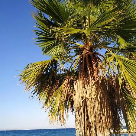 Rez De Jardin Marina Baie Des Anges Villeneuve-Loubet